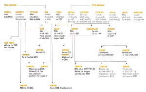 Exemple d'arbre généalogique