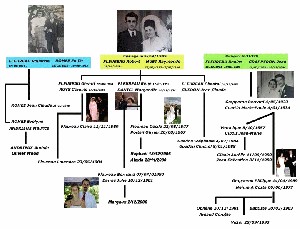 Exemple d'arbre généalogique