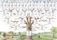 Exemple d'arbre généalogique
